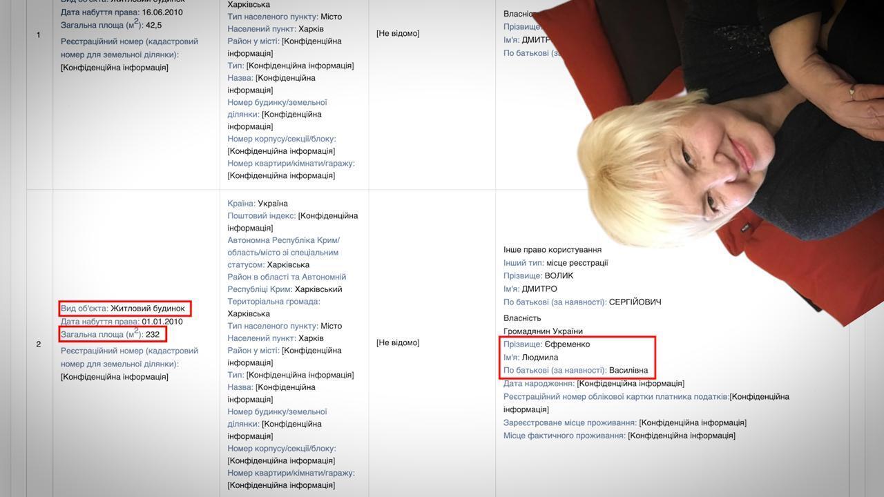 Дмитрий Волык, недвижимость, Людмила Ефименко