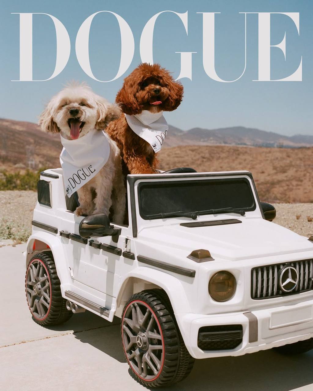 Сабрина Карпентер, Розе, Малума и их любимцы на обложках Vogue