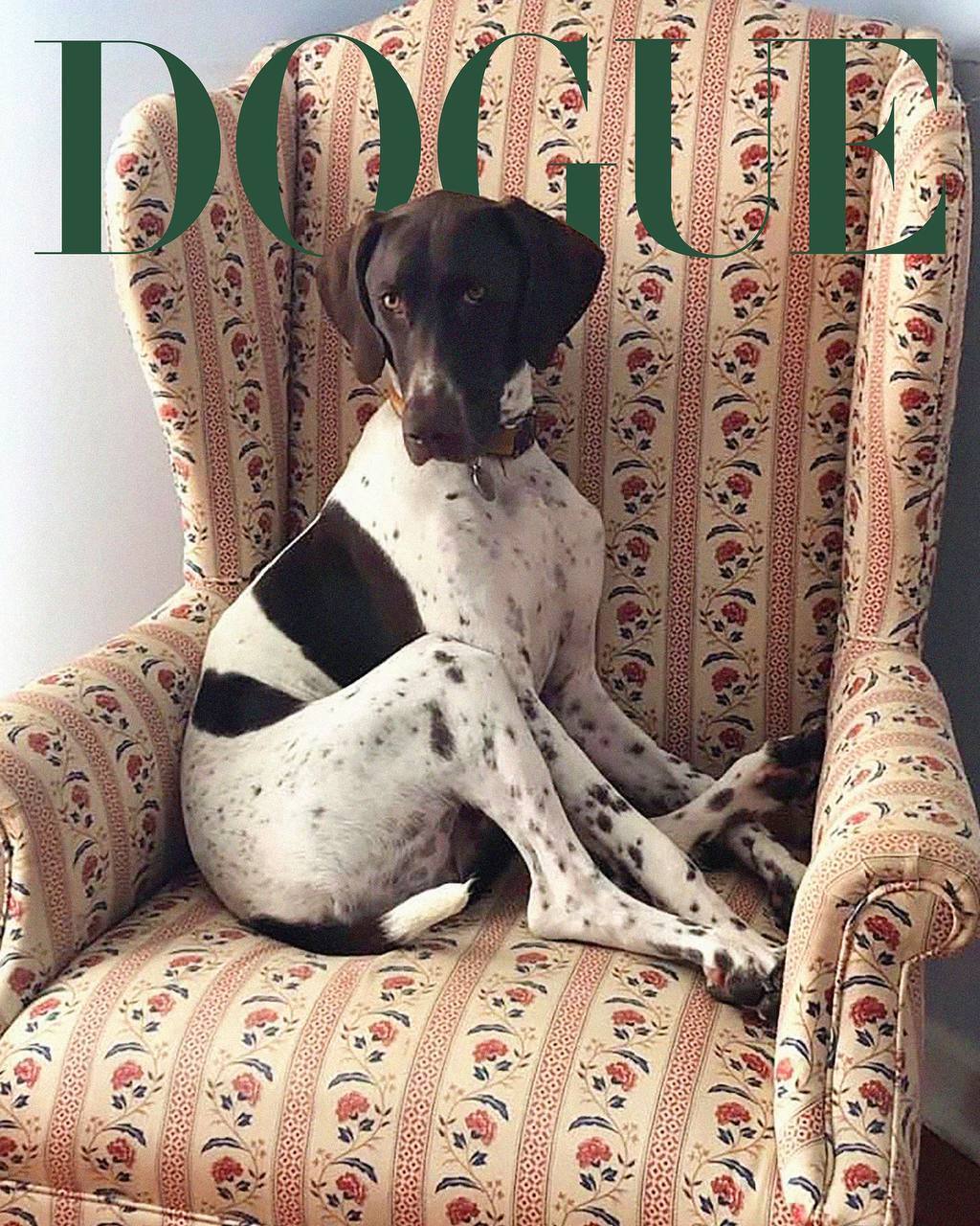 Сабрина Карпентер, Розе, Малума и их любимцы на обложках Vogue