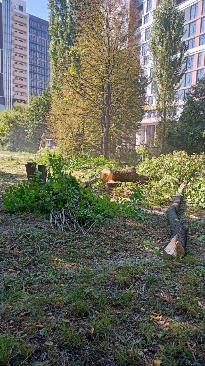 Рейдерство в Институте НАН? Люди Копистыры вырубают деревья на научных землях в Киеве (фото)