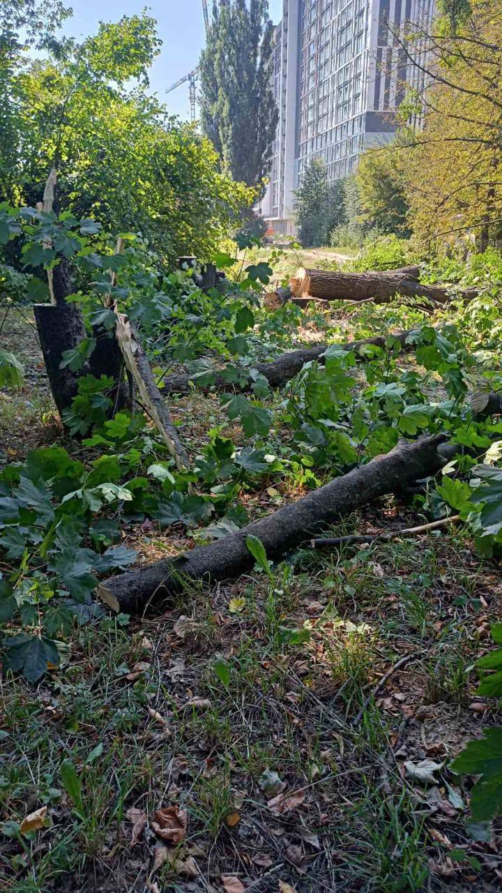 Рейдерство в Институте НАН? Люди Копистыры вырубают деревья на научных землях в Киеве (фото)