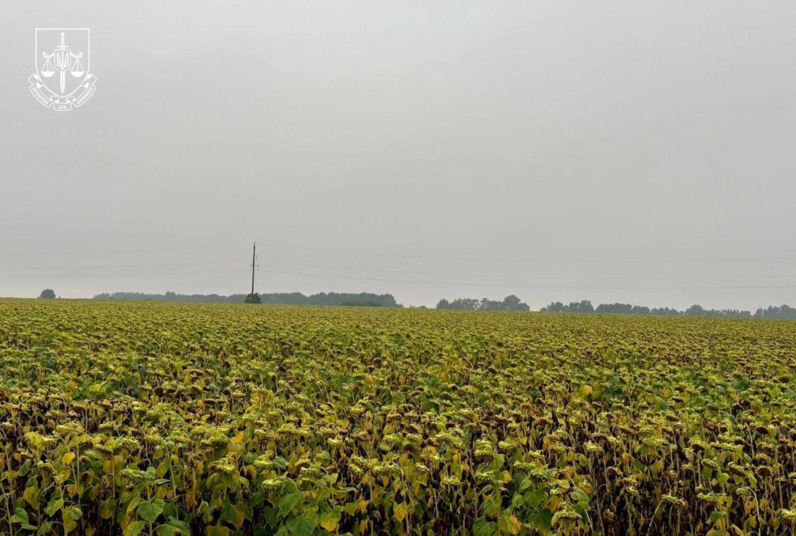 Радіаційна схема на Житомирщині