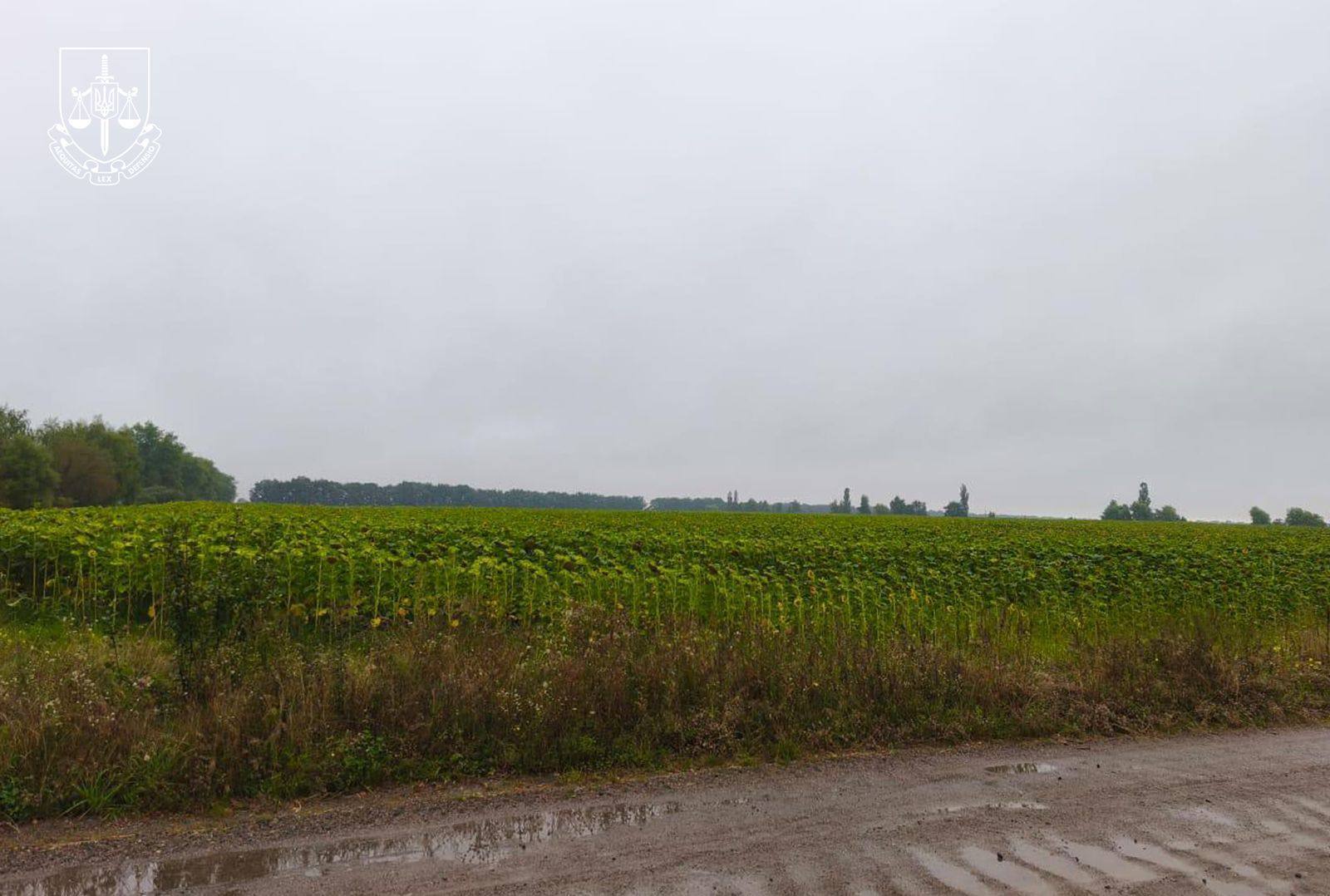 Радіаційна схема на Житомирщині