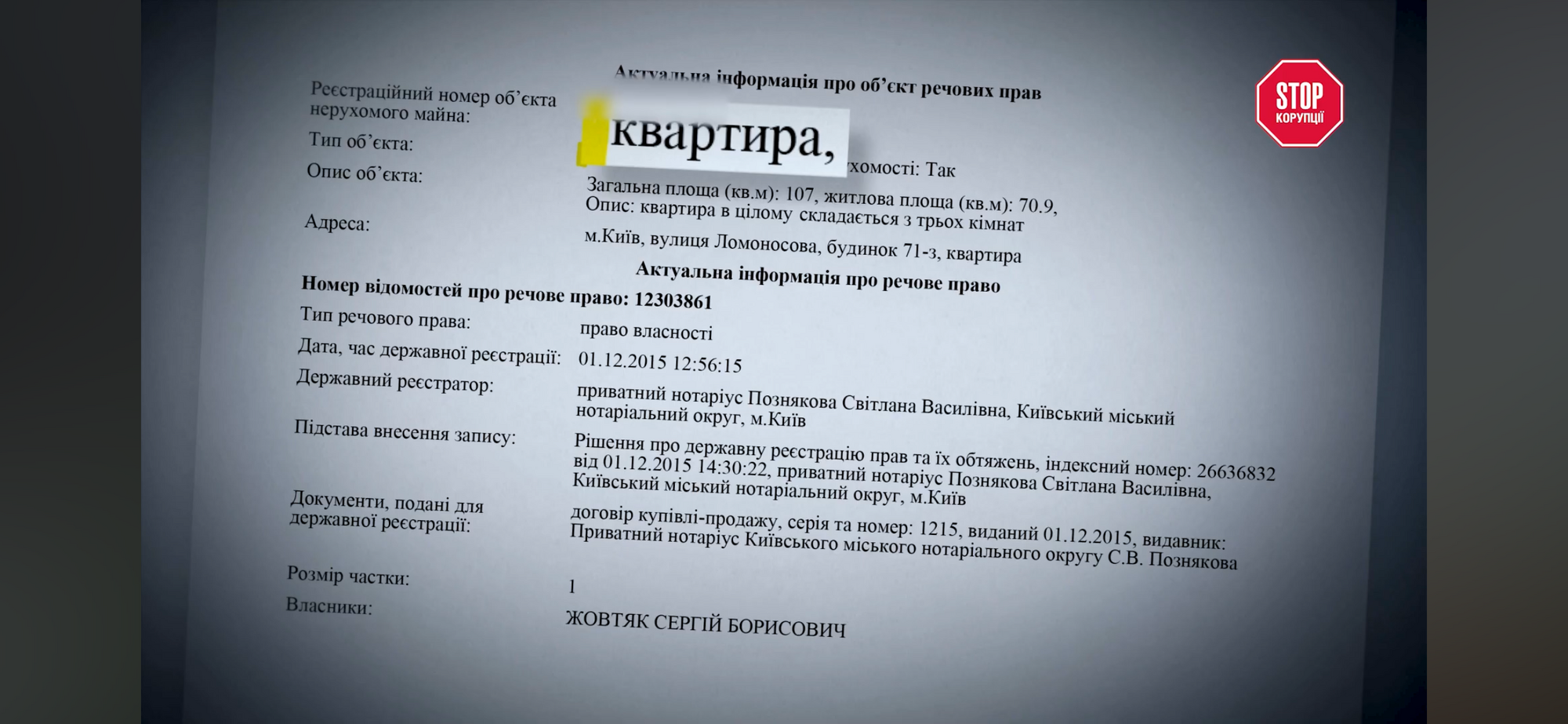 Юлия Жовтяк, декларация