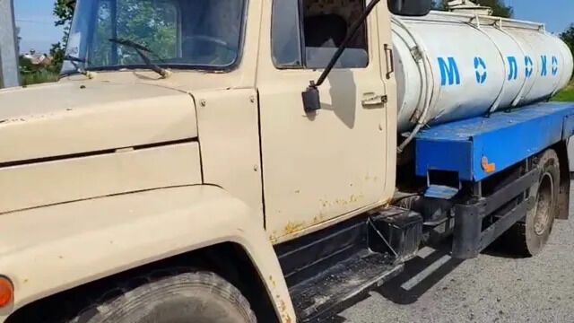 ''Лісова мафія''? На Житомирщині селяни заявляють про силове захоплення держмайна на $40 млн – медіа