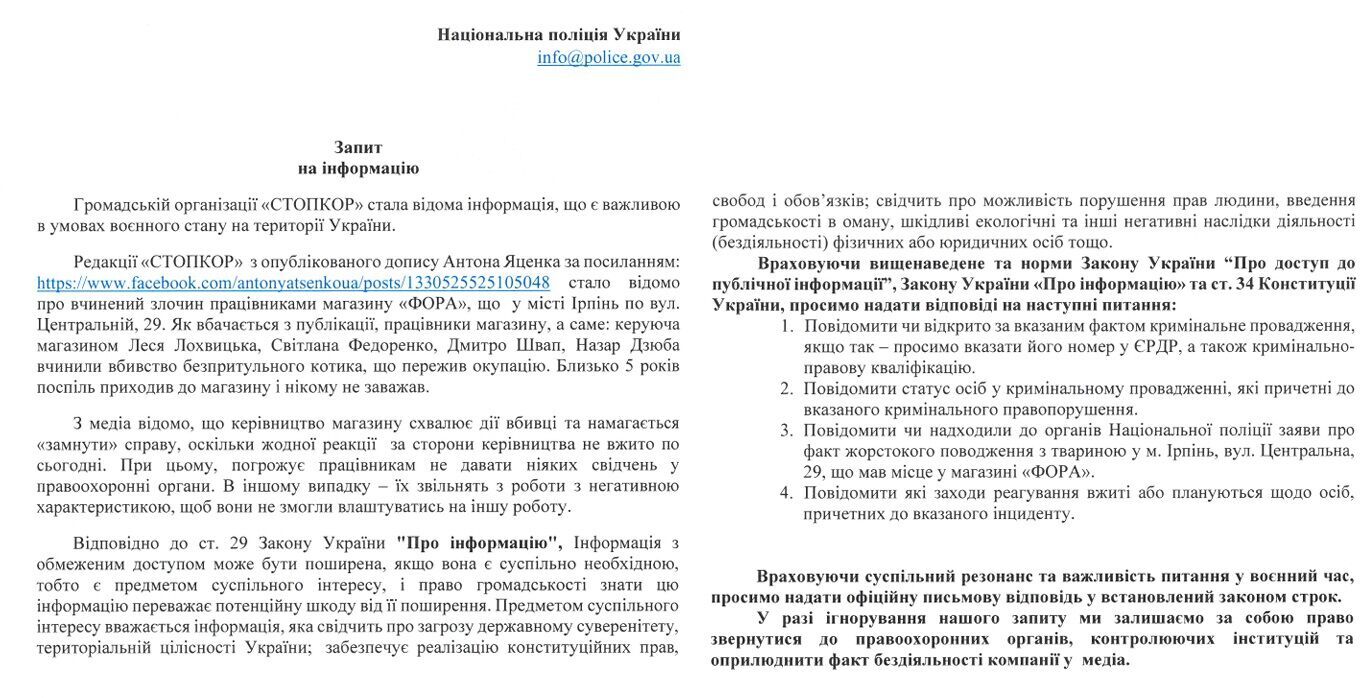  ''Він просто хотів їсти'': в Ірпені співробітники супермаркету вбили кота, що пережив окупацію