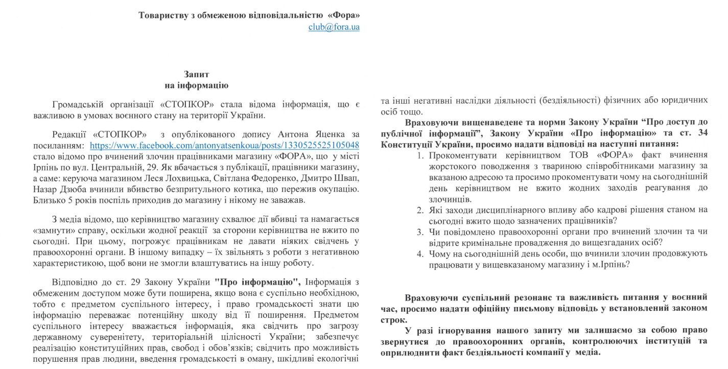  ''Він просто хотів їсти'': в Ірпені співробітники супермаркету вбили кота, що пережив окупацію