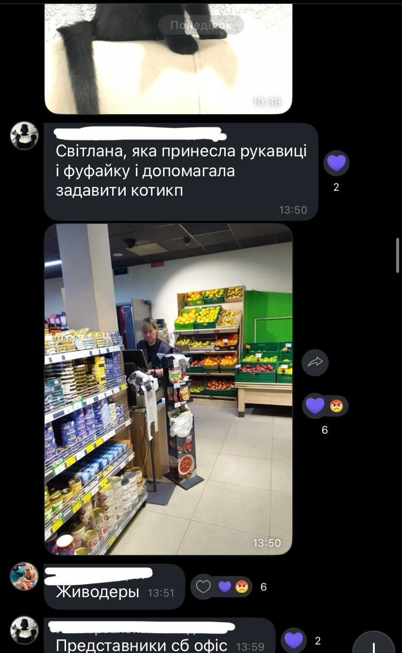  ''Він просто хотів їсти'': в Ірпені співробітники супермаркету вбили кота, що пережив окупацію