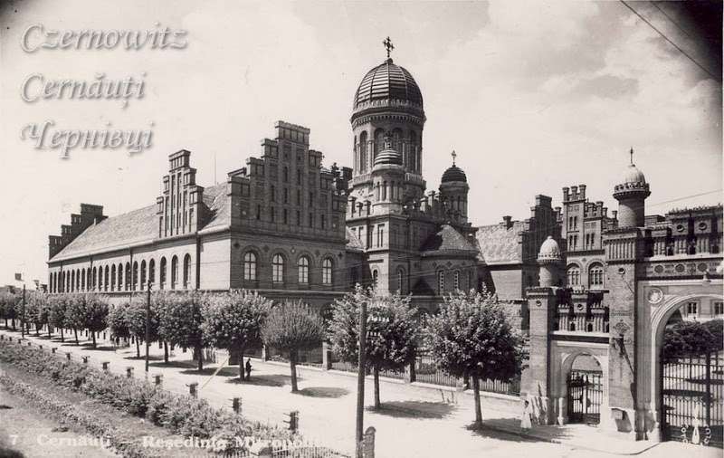 ''Пеньки от мэра''? В Черновцах вдоль центральных улиц вырезали здоровые деревья