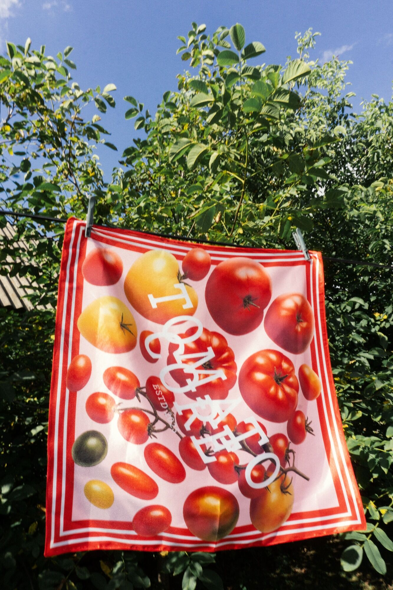 Tomato Core: летний дроп Cuprum Depot и Rechi, поддерживающий ВСУ