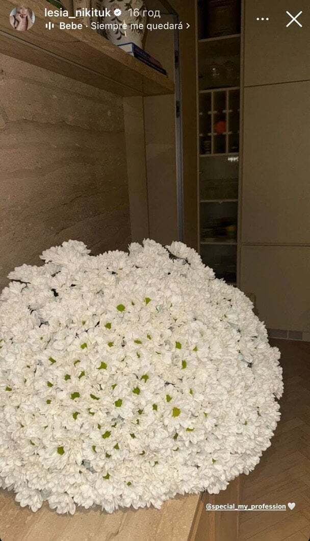 Леся Нікітюк поділилася атмосферними фото з нареченим Дмитром