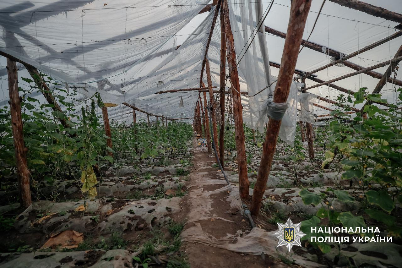 Поліція викрила схему торгівлі людьми та примусової праці в Київській області