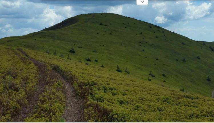 Полонина Боржава