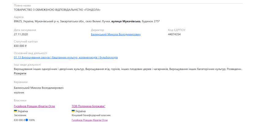 Профіль ТОВ ''Гондола'' на Опендатабот