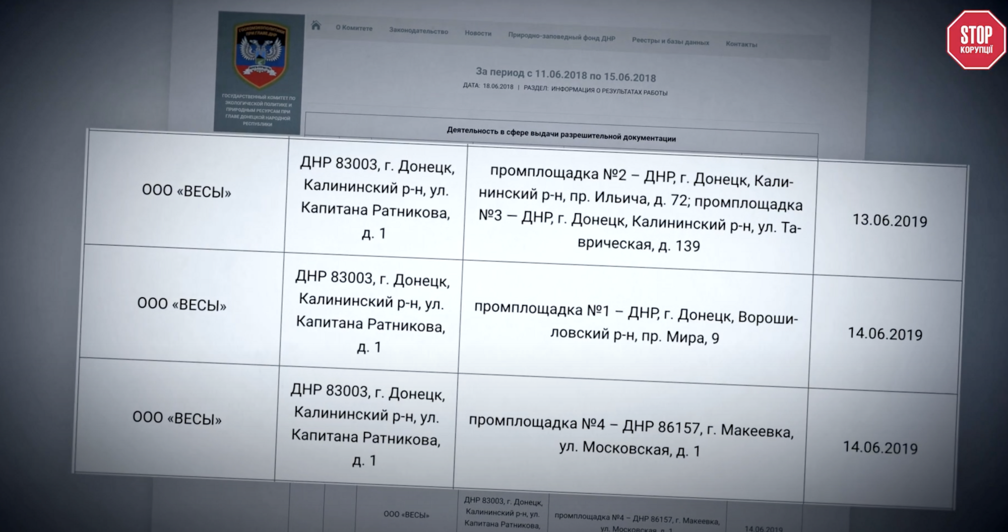 ООО Веси, Светлана Гуцул