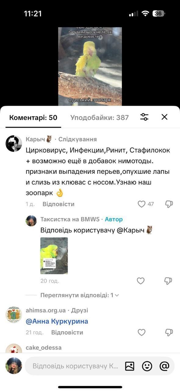 Зооволонтер Андрій (Карич) про стан папуг у зоопарку