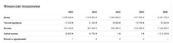 Институт политического образования, финансовые показатели