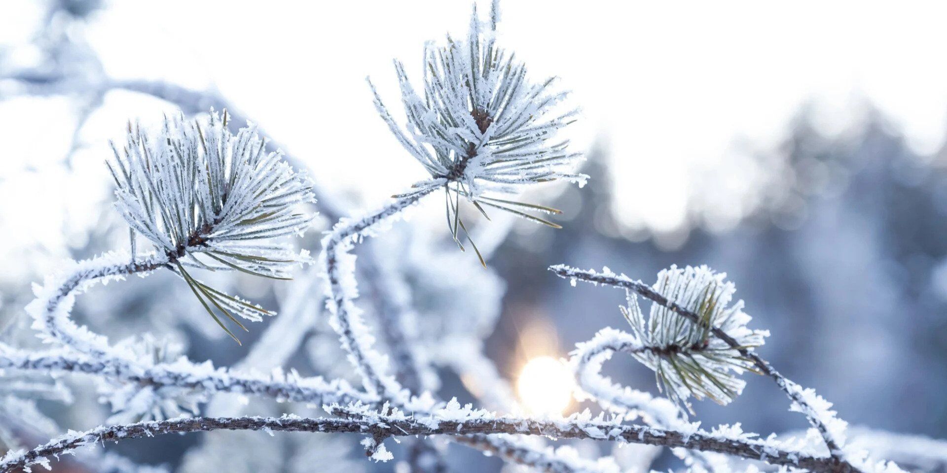 Трагедія біля метро ''Деміївська'': чоловік послизнувся на ожеледиці і загинув