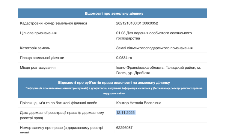 Від ''Галицького ринку'' до маєтку на 300 квадратів: як прикарпатський мер Кантор став мільйонером