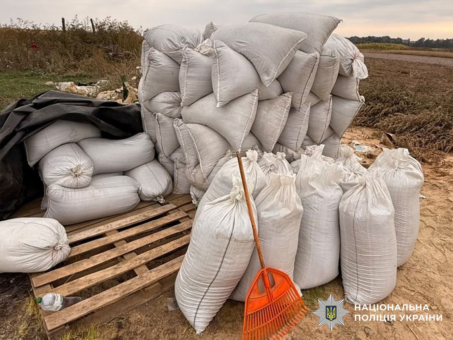 На Чернігівщині викрили родину на незаконному обігу тютюну