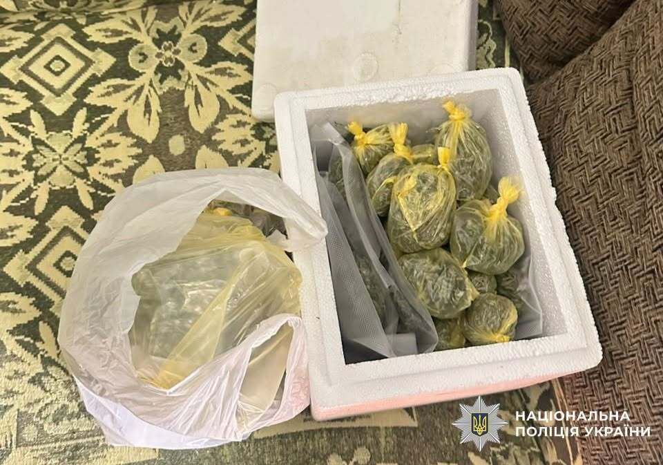 Конопляна плантація, сімейний збут і до 12 років ув’язнення: деталі справи на Львівщині