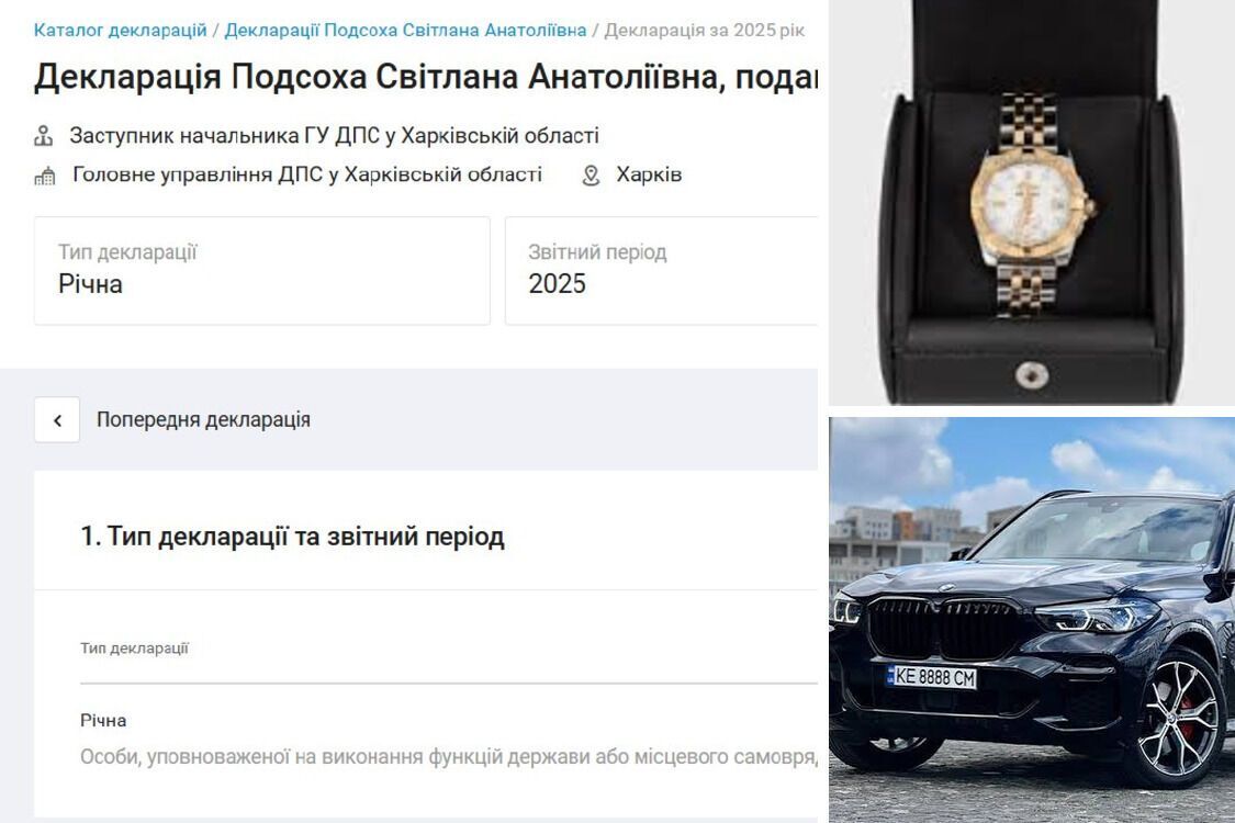 Светлана Подсоха и ее состояние