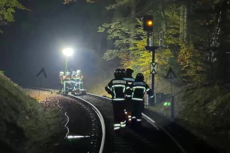 П'яний чоловік застряг у будиночку на дереві на висоті 12 метрів: його рятували 70 людей