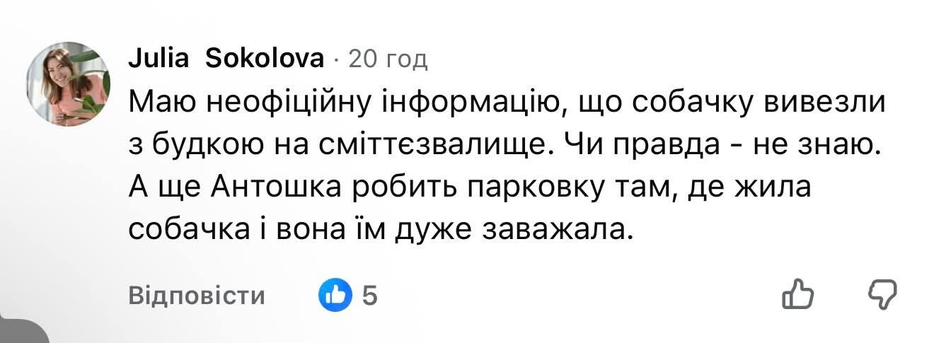 У Рівному зникла 14-річна собака Жулька разом із будкою 