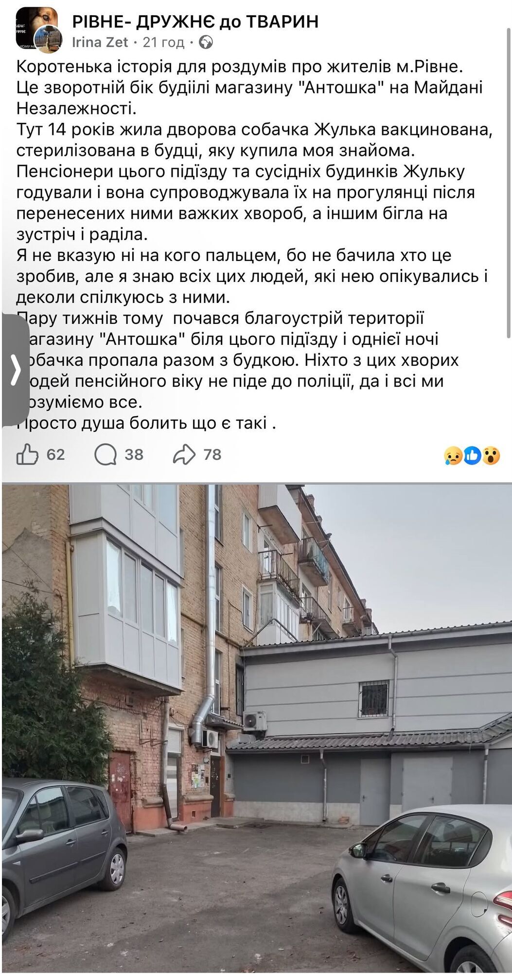 У Рівному зникла 14-річна собака Жулька разом із будкою 