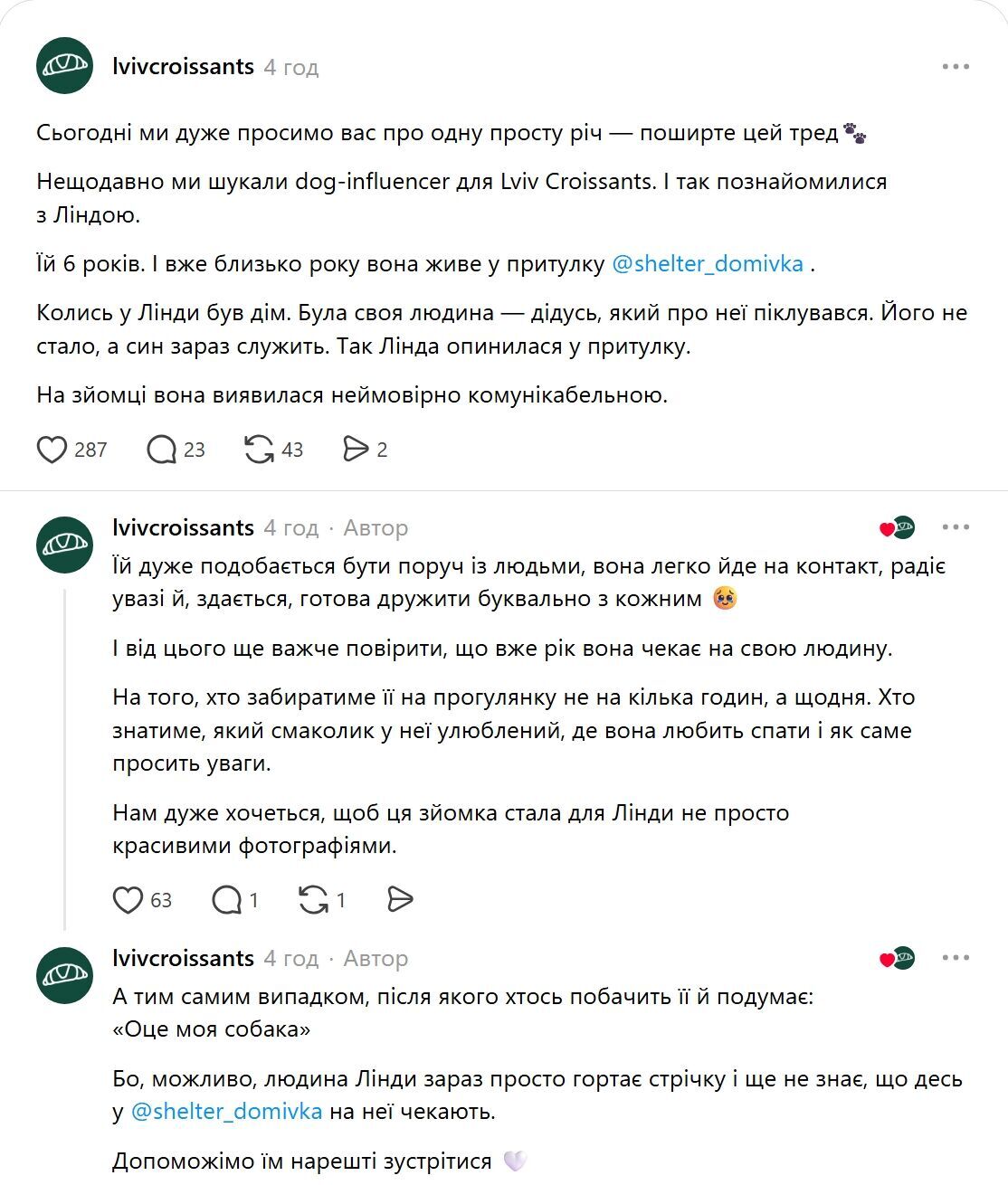 ''Львовские круасаны'' ищут дом для dog-инфлюэнсерки Линды