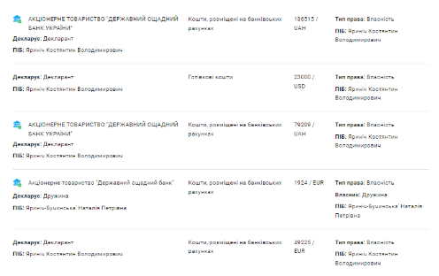 Задекларированные денежные активы семьи Яриничев