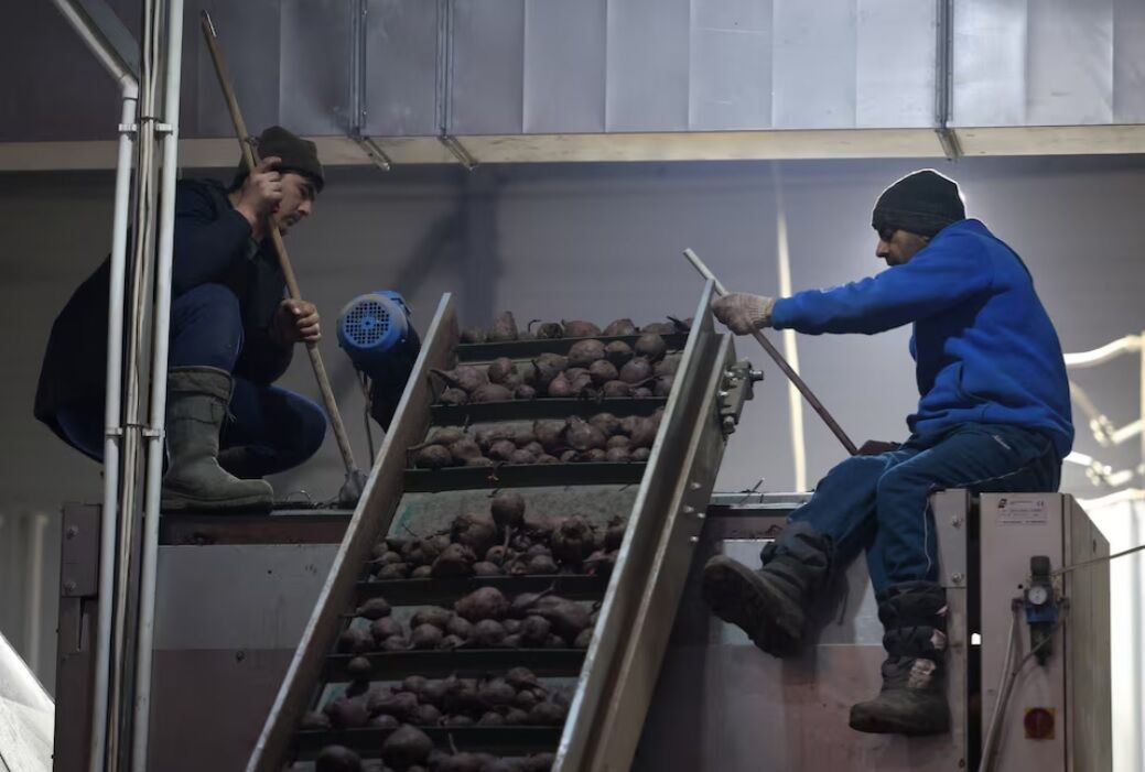 Росія залучає індійських працівників через дефіцит кадрів у виробництві та сфері послуг