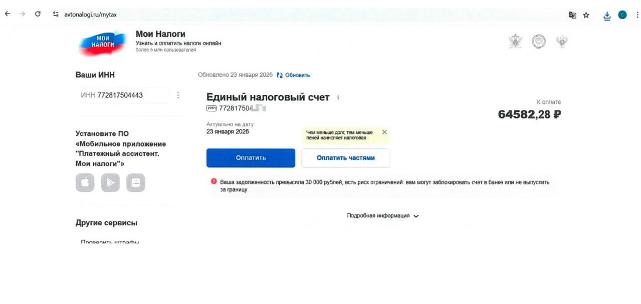 За налоговым номером наличный долг