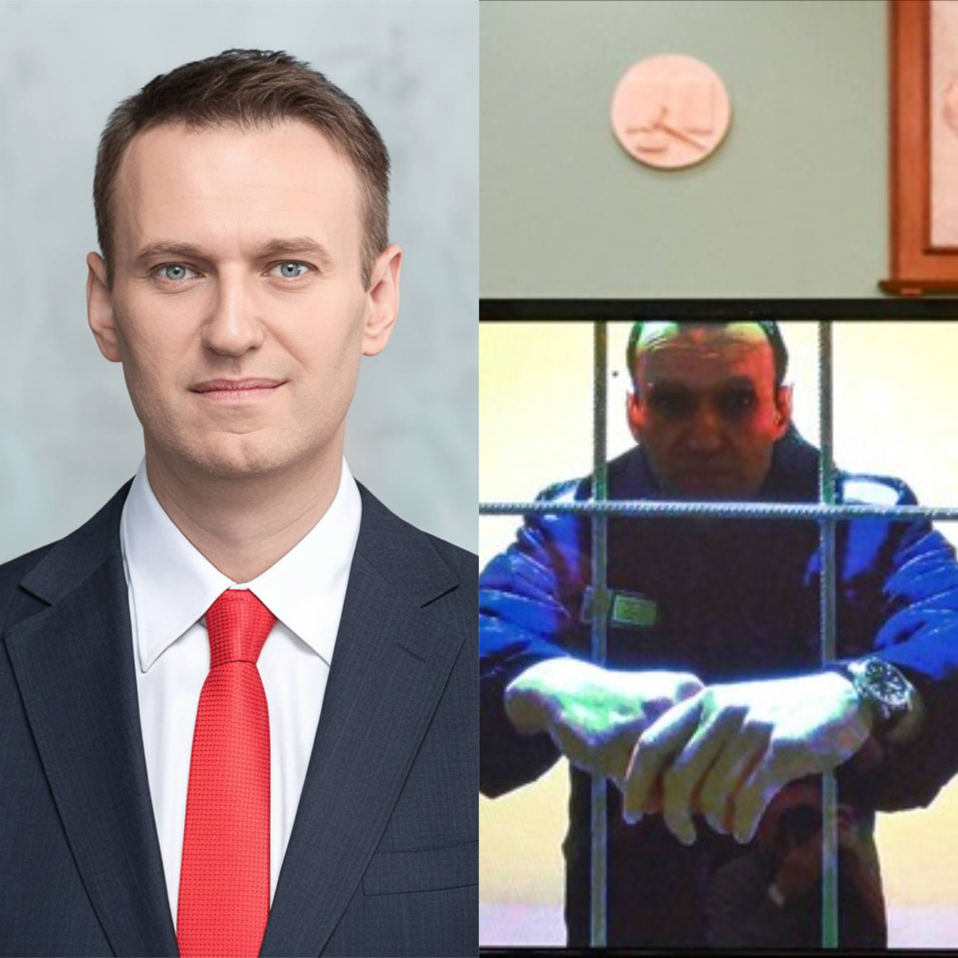 Навального отравили токсичной лягушкой: заявление 5 стран Европы