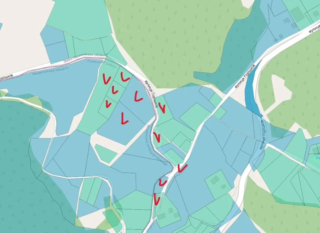 Бізнес-партнер Міндіча ''Шмель'' скуповував землі під Буковелем на сотні мільйонів