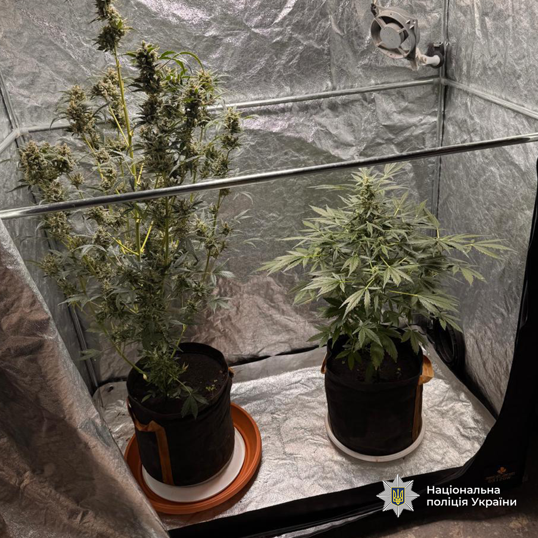 Справу посадовця міськради Дніпра та спільників скеровано до суду за привласнення 4,4 млн грн