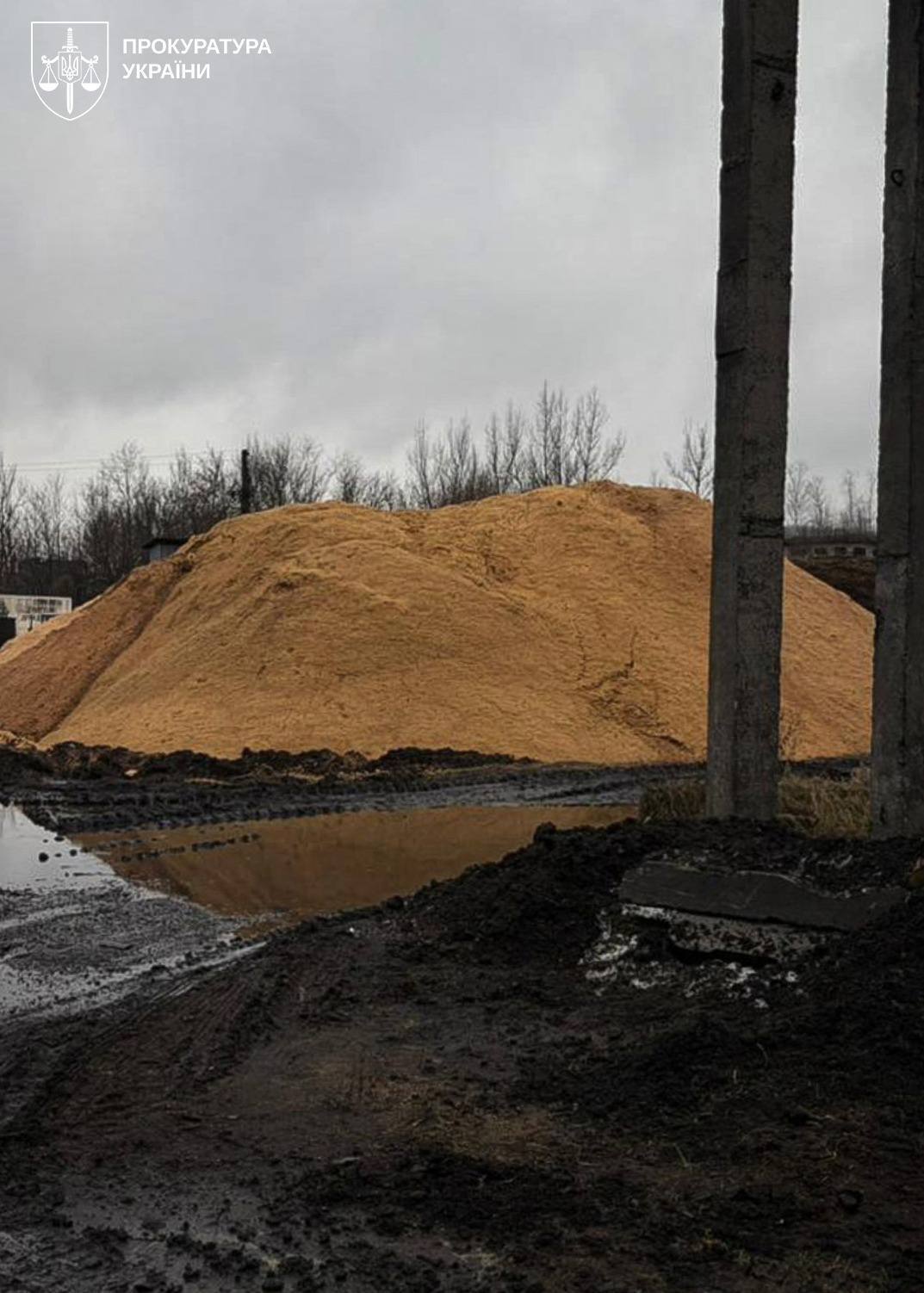 Забруднення на 15 млн грн: посадовцю закарпатського лісохімкомбінату повідомили про підозру quhiqkkiqdziqqehab
