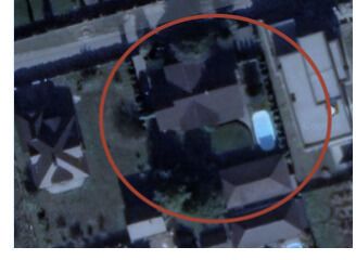 Илья Павлюк, Романков, Николай Павлюк