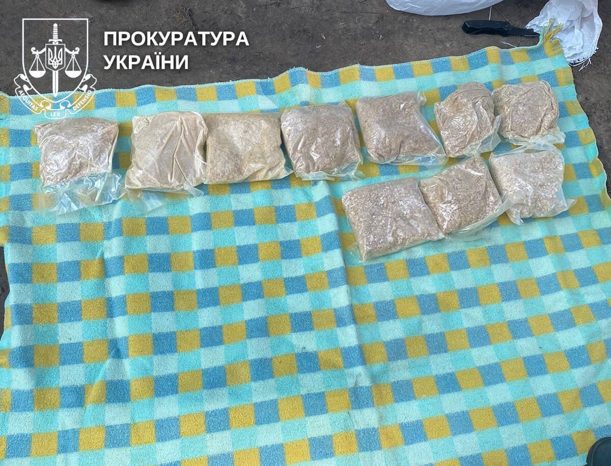 Ділки ховали заборонені речовини на 20 мільйонів гривень у квіткових вазонах