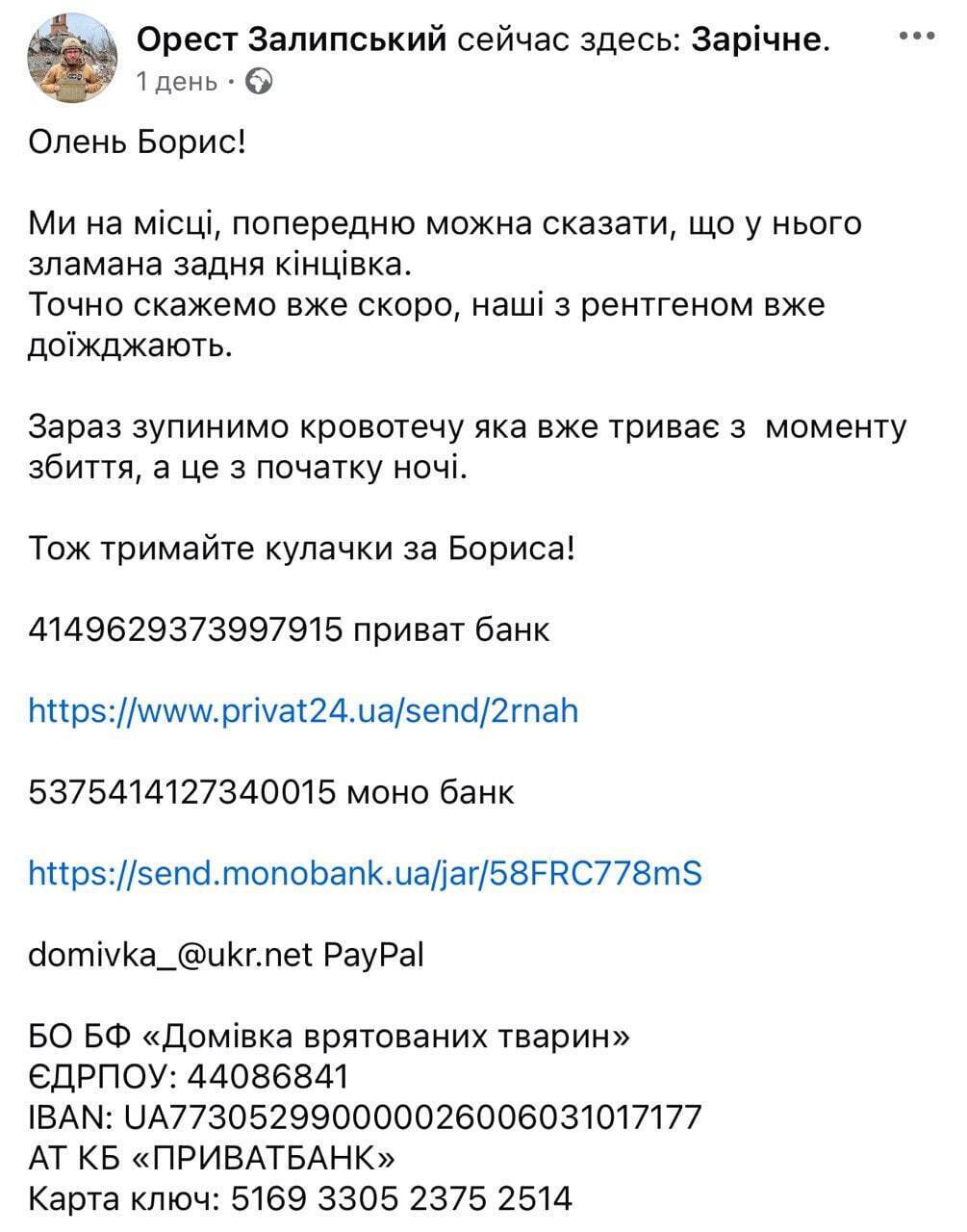 Олень Борис: реальность vs эмоции