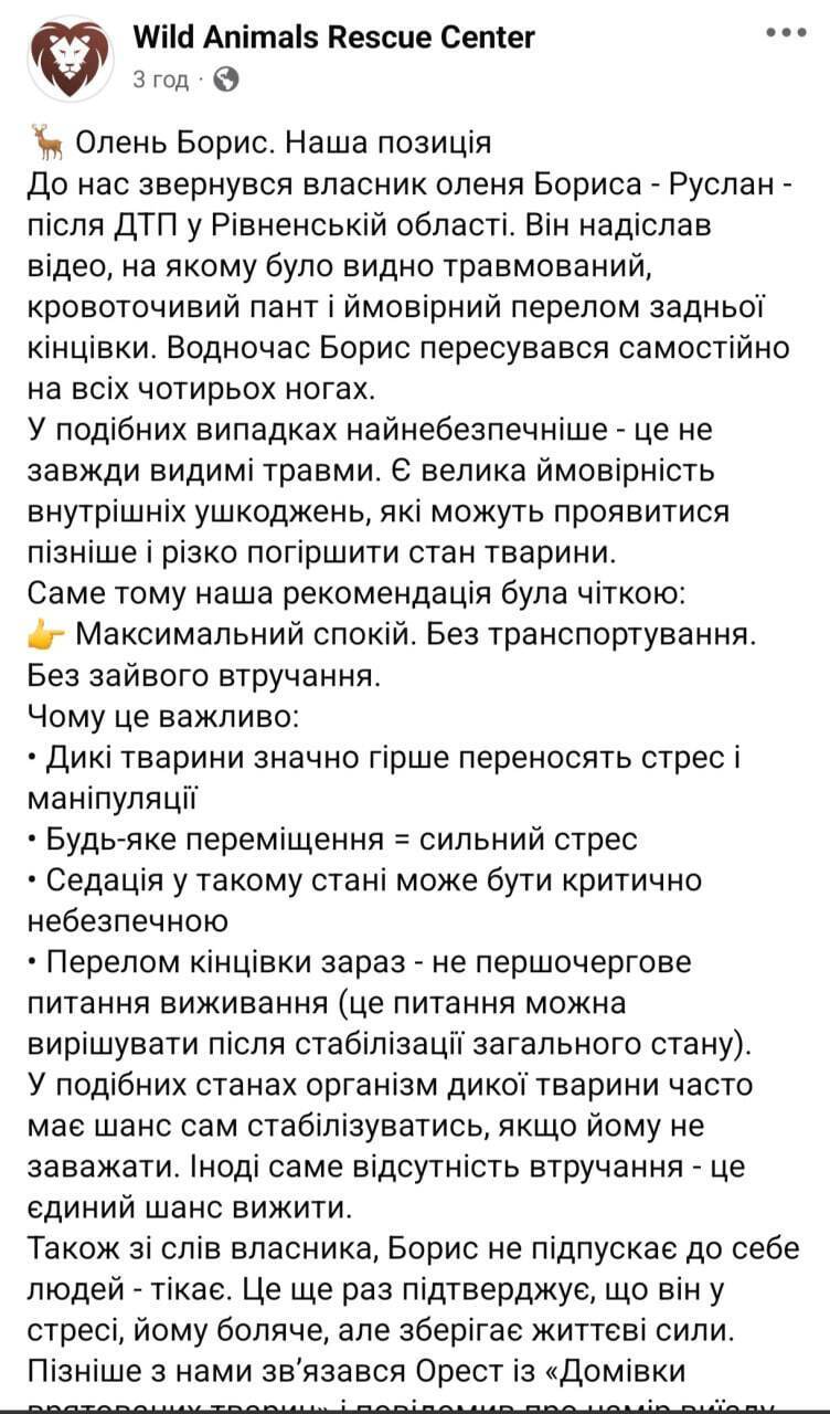 Олень Борис: реальность vs эмоции
