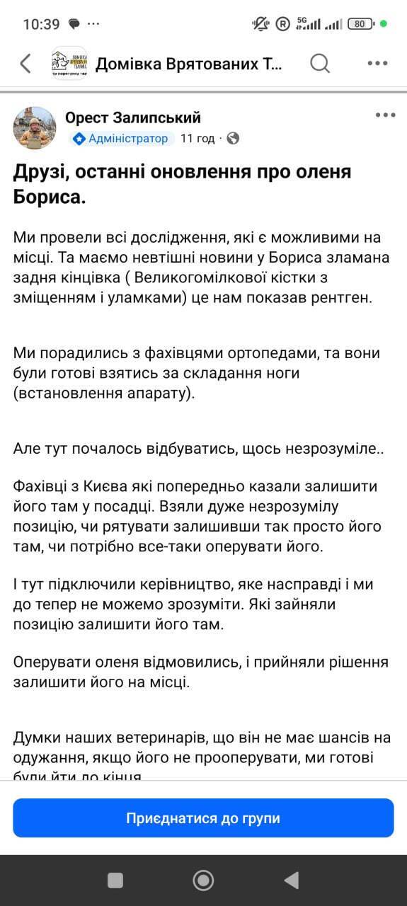 Олень Борис: реальность vs эмоции