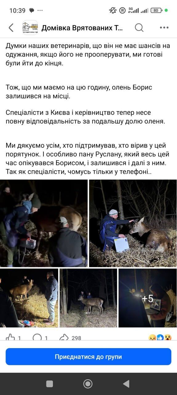 Олень Борис: реальность vs эмоции