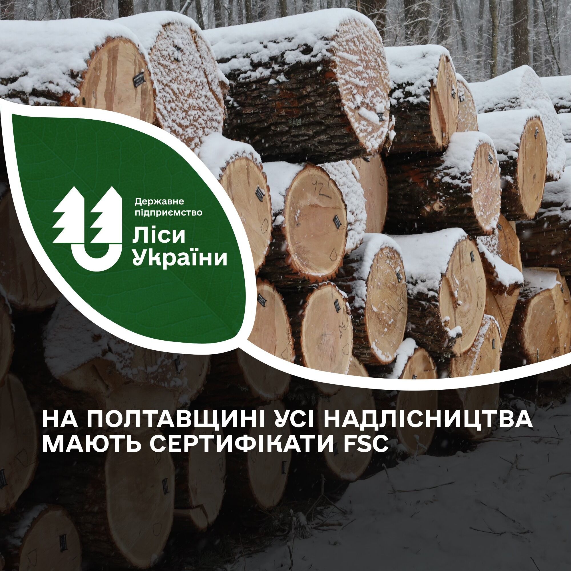 ''Иванина Дмитрий: каждый день деловой дуб пилят на дрова и вывозят'', - чат-бот СтопКору