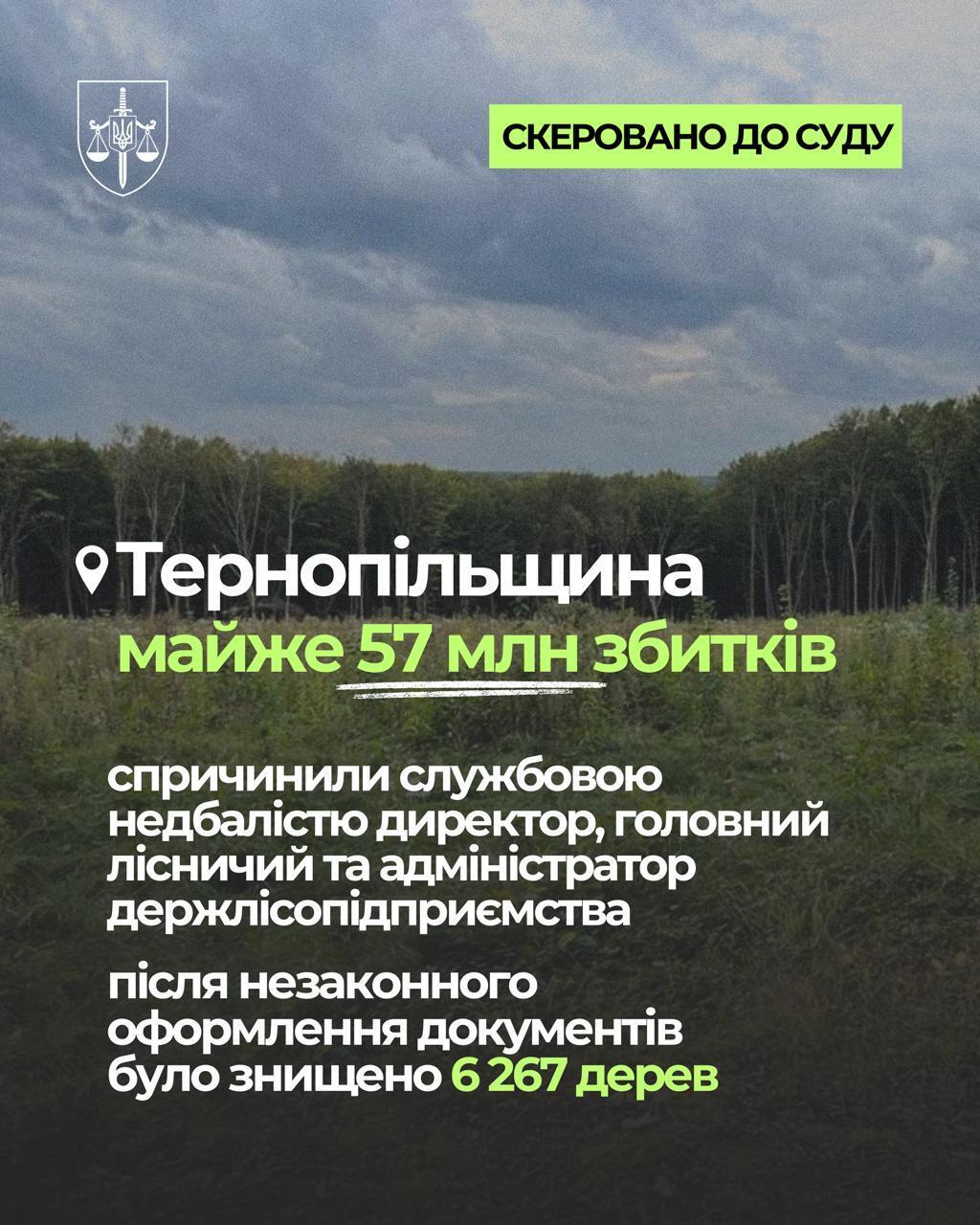 Майже 95 млн грн збитків: екопрокуратура передає до суду справи щодо незаконних рубок