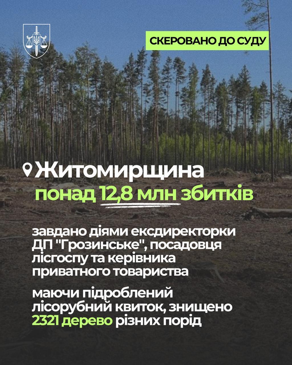 Майже 95 млн грн збитків: екопрокуратура передає до суду справи щодо незаконних рубок