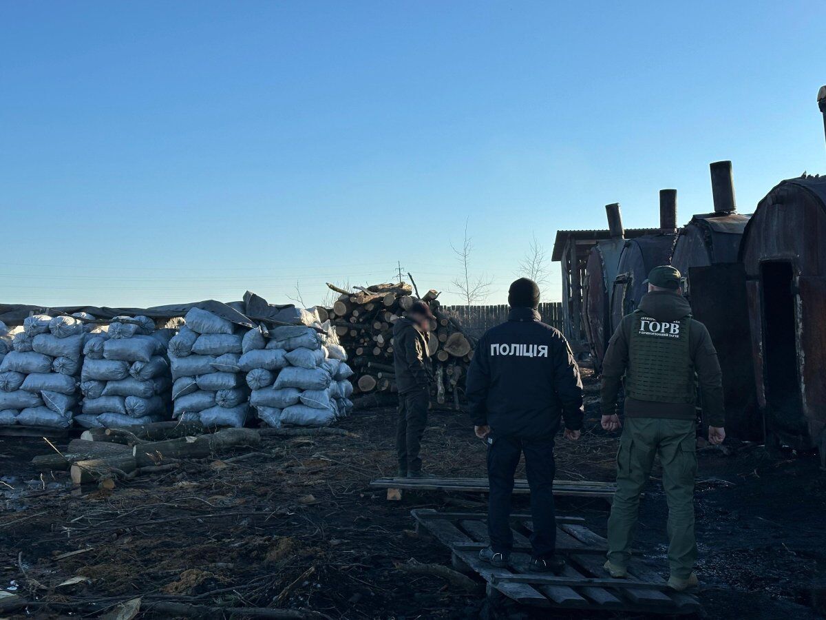 На Рівненщині викрили незаконне випалювання деревного вугілля: виявлено 6 печей і сотні мішків продукції