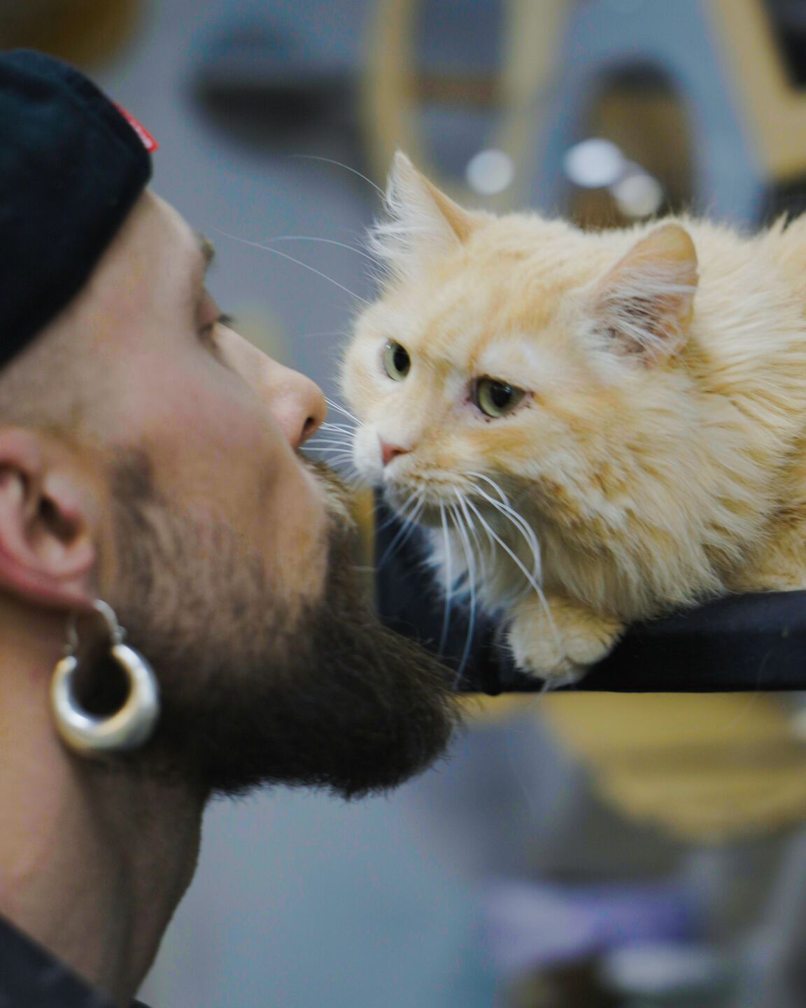 Зроби тату — врятуй життя: Lamarch запускає благодійну ініціативу для будівництва кОтОпарку Олексія Суровцева