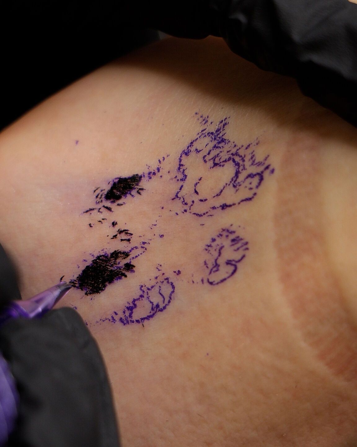 Зроби тату — врятуй життя: Lamarch запускає благодійну ініціативу для будівництва кОтОпарку Олексія Суровцева