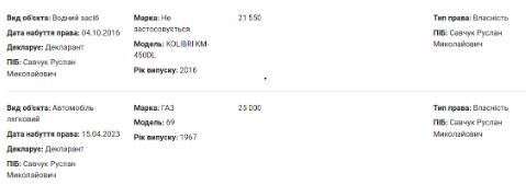 имущество, Руслан Савчук, Прикарпатье, Ивано-Франковск, санврач, декларация